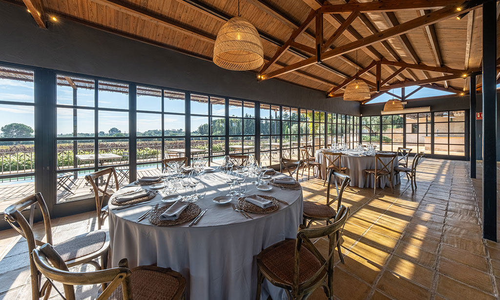 foto-bosc-de-vinyes-web-orangerie-9